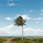 Dein ultimativer Guide: Wann ist die beste Zeit für eine Ägyptenreise?