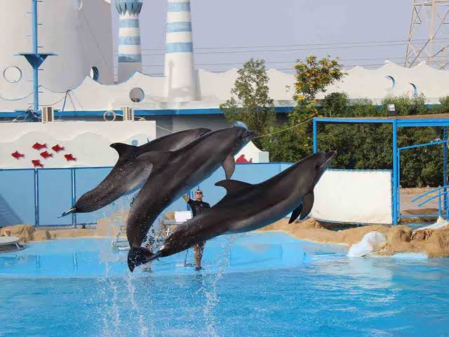Hurghada Aquarium