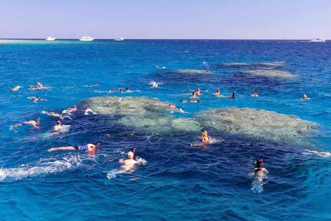 Giftun Island