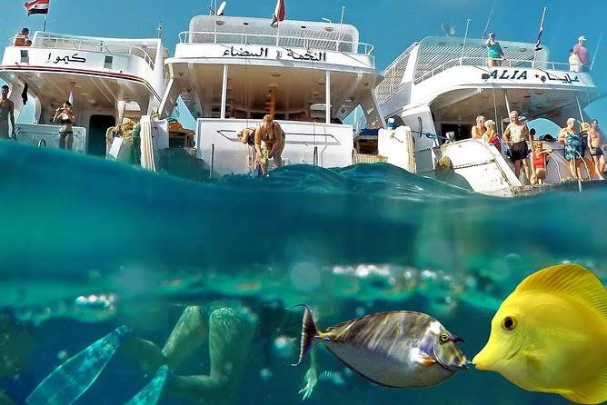 Giftun Island