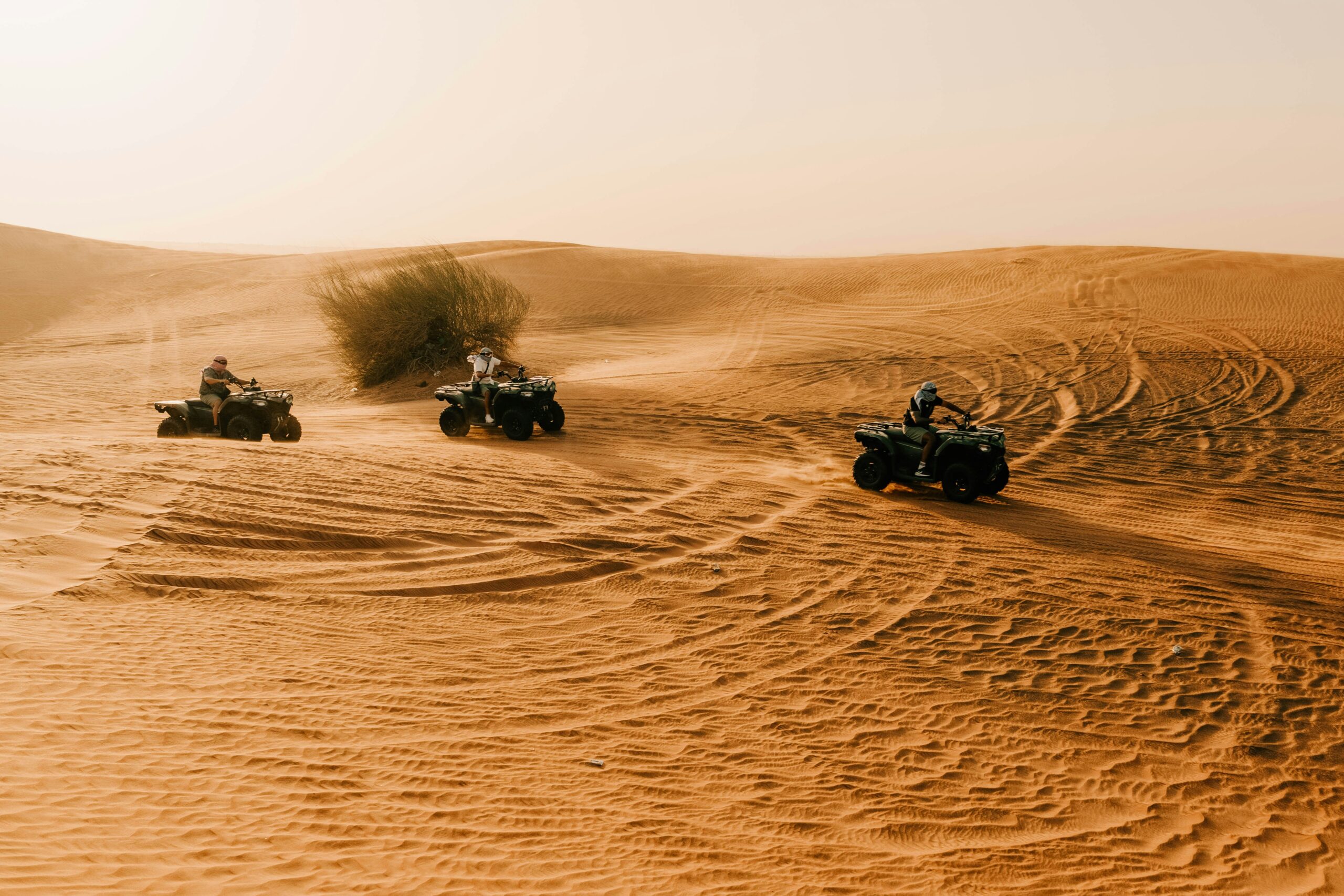 Desert Safari