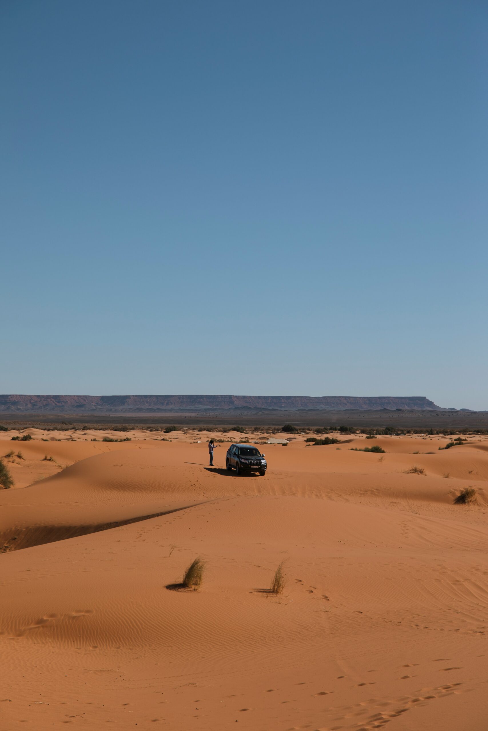 Desert Safari