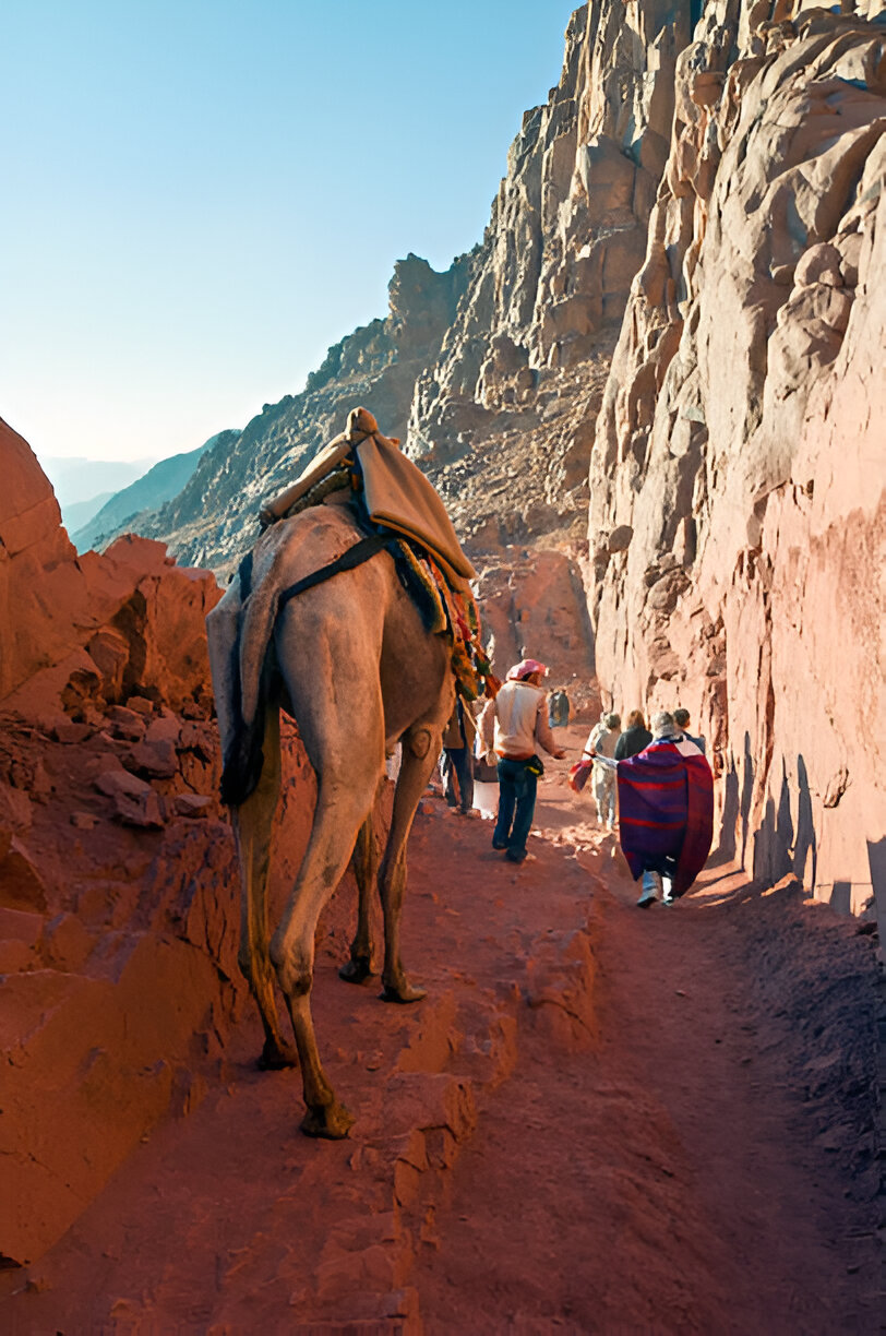Mount Sinai
