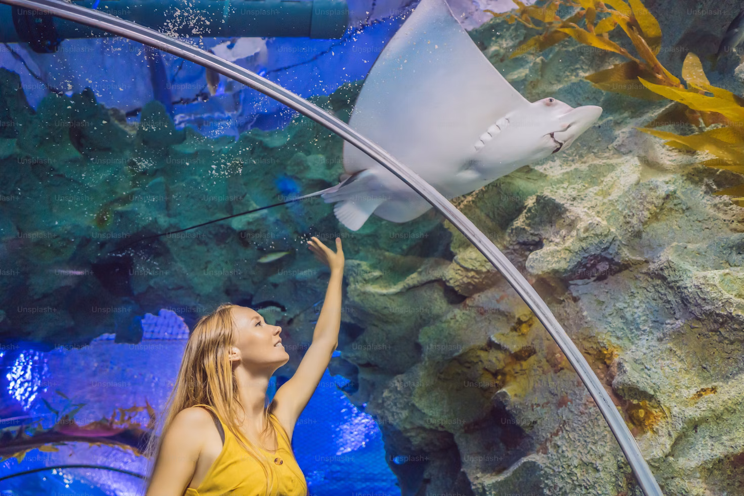Grand Aquarium d'Hurghada